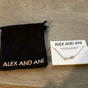 Alex and Ani silver key necklace
